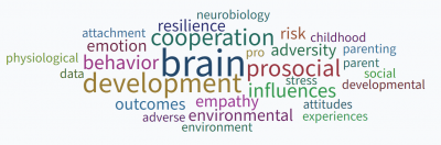 Word bubble with terms related to neuro and social development. For example: brain, adversity, environment, neurobiology